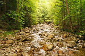 It's pretty and peaceful when it isn't raining! Photo by the author.