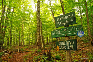 Nothing like having options to tempt you to make wrong choices! Photo by the author.